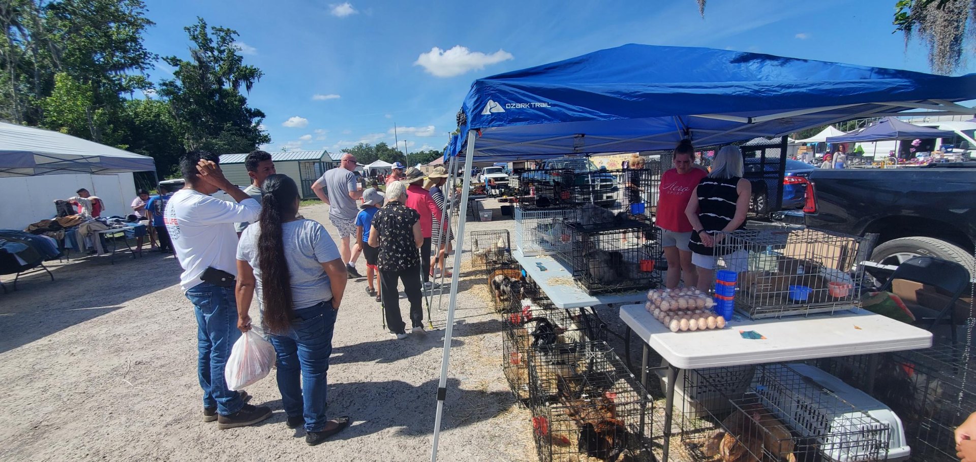 Animals at Sunnydaze Acres