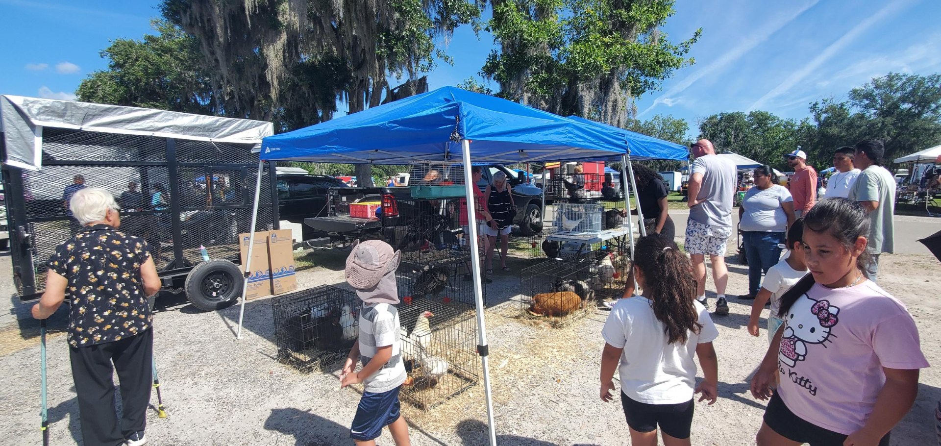 Animals at Sunnydaze Acres